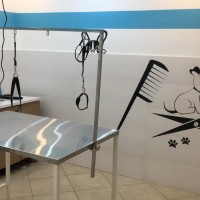 1595256496_WhatsApp Image 2019-12-07 at 15.00.11.jpeg